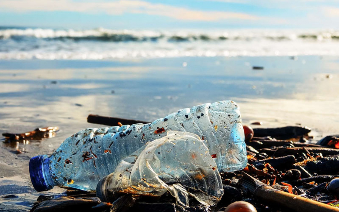 600.000 tonnes de plastique rejetées par an dans la mer Méditerranée