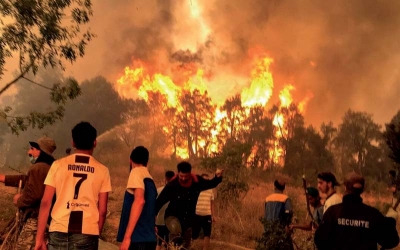 Algérie : Incendies en Kabylie